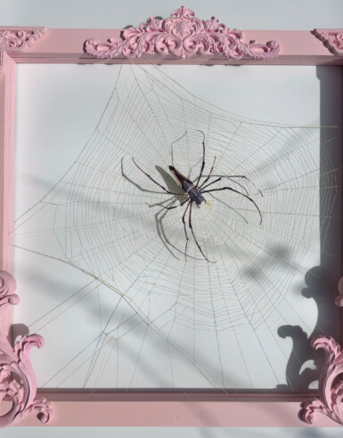 A metallic pink spider rests in the middle of a large golden web