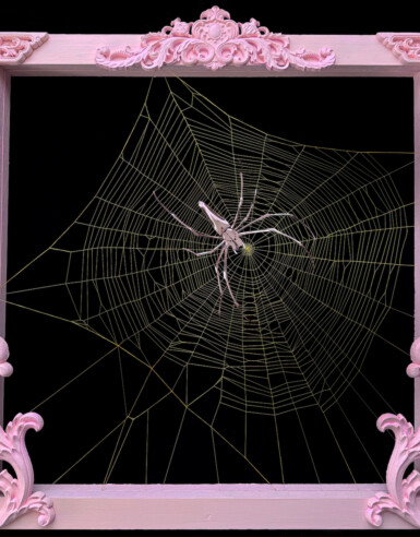 A metallic pink spider rests in the middle of a large golden web