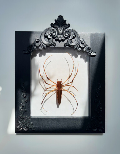 Theodore Buckland
2024
17” x 13.5” (h x w)
Sequin film, felt, thread, oak frame A bright copper spider